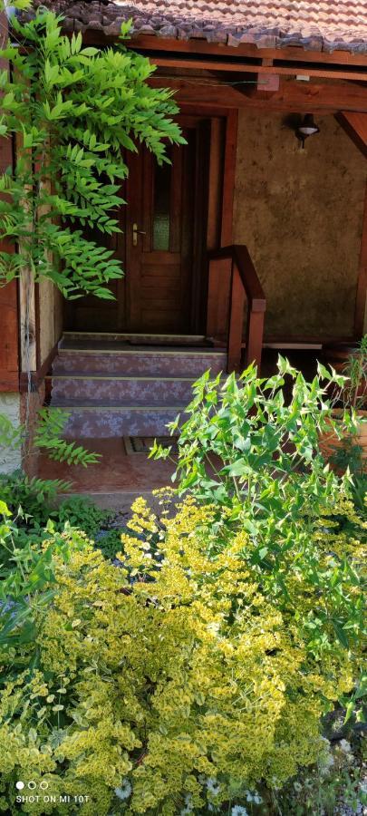 Ruralna Kuca Za Odmor Pozojova Hiza - Rural Holiday House Lopatinec Ngoại thất bức ảnh