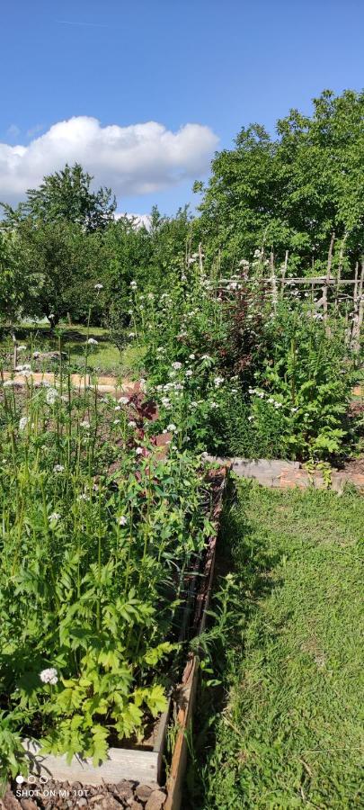 Ruralna Kuca Za Odmor Pozojova Hiza - Rural Holiday House Lopatinec Ngoại thất bức ảnh